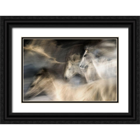 In Motion Black Ornate Wood Framed Art Print with Double Matting by Malovrh, Milan