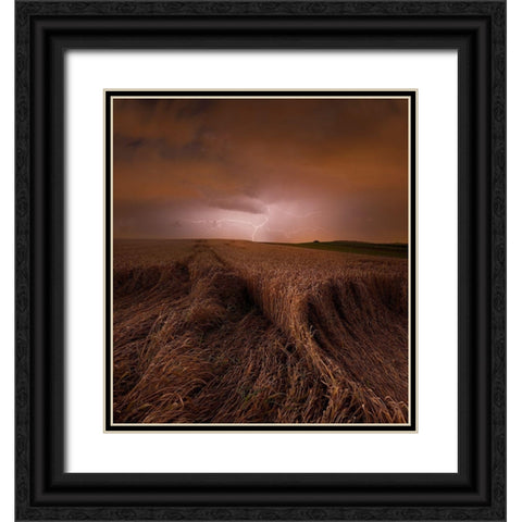 Morning Storm Black Ornate Wood Framed Art Print with Double Matting by Schumacher, Nicolas
