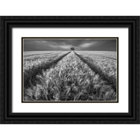 Alone Black Ornate Wood Framed Art Print with Double Matting by Krol, Piotr