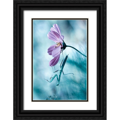 Newtonian Physics Black Ornate Wood Framed Art Print with Double Matting by Bravin, Fabien