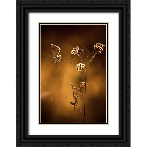 All I Want Is You Black Ornate Wood Framed Art Print with Double Matting by Bravin, Fabien