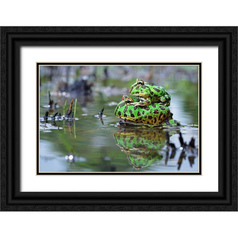 The Love Black Ornate Wood Framed Art Print with Double Matting by Goh, Shikhei