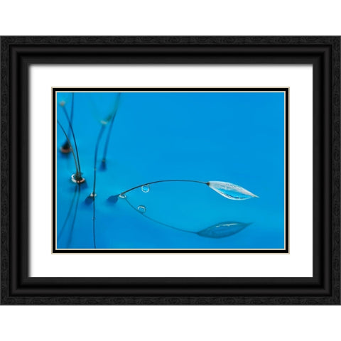 Blue Water Black Ornate Wood Framed Art Print with Double Matting by Westum, Heidi