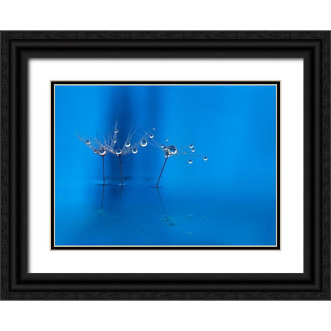 Blue Fun Black Ornate Wood Framed Art Print with Double Matting by Westum, Heidi