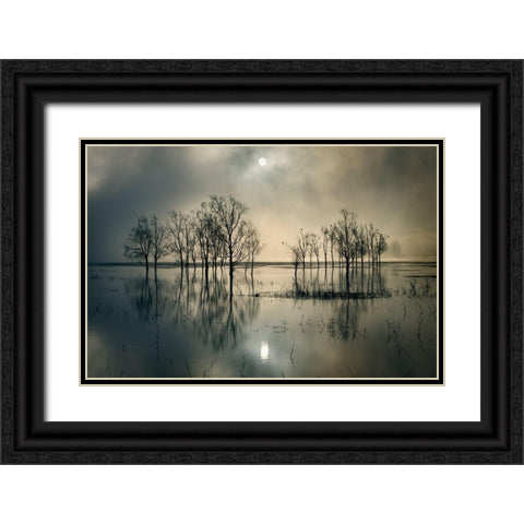 Lakes Secret Black Ornate Wood Framed Art Print with Double Matting by Joanne, Flj