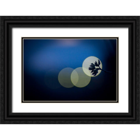 Hikari Black Ornate Wood Framed Art Print with Double Matting by Tomihisa, Kouji