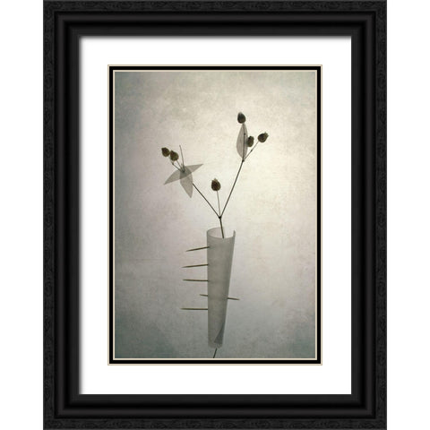 *** Black Ornate Wood Framed Art Print with Double Matting by Lazarov, Dimitar