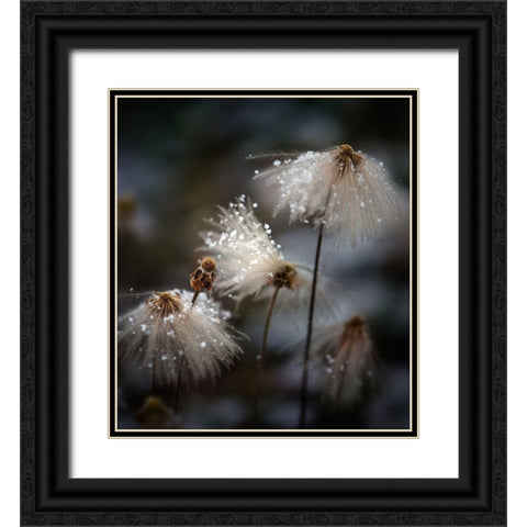 The New Dress Black Ornate Wood Framed Art Print with Double Matting by Dou, Shenshen