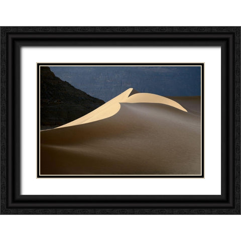 Sandy Bird Black Ornate Wood Framed Art Print with Double Matting by Dubikovskiy, Dmitry