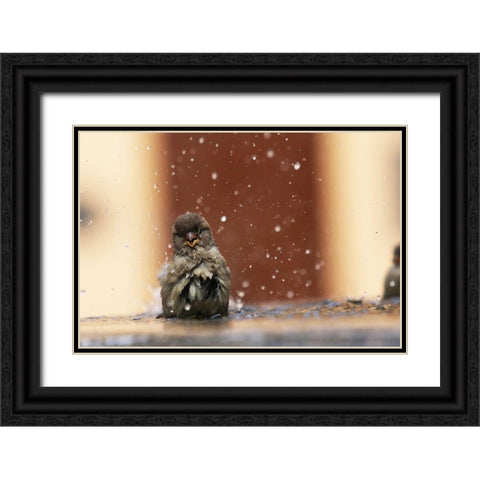 Humourist Black Ornate Wood Framed Art Print with Double Matting by Ignatyev, Alexander