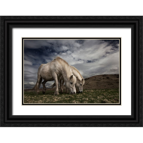 Two Years Later Black Ornate Wood Framed Art Print with Double Matting by Ingibergsson, Bragi
