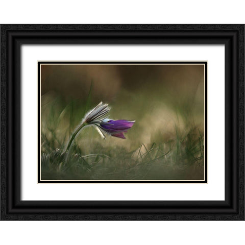 Alone Black Ornate Wood Framed Art Print with Double Matting by Lichner, Istvan