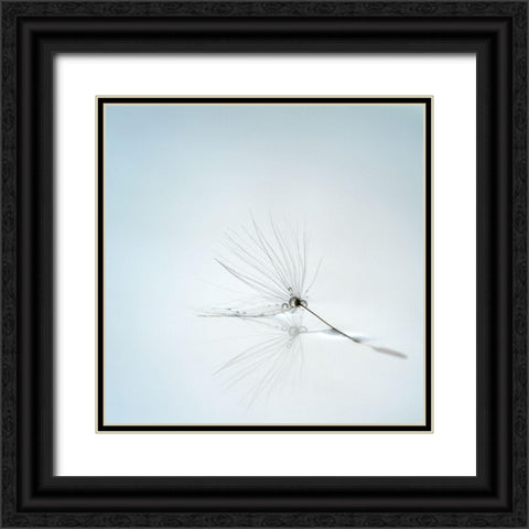 Drops And Stem Black Ornate Wood Framed Art Print with Double Matting by Irthum, Mathieu