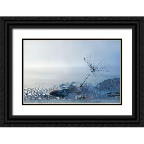 A Blue Morning Black Ornate Wood Framed Art Print with Double Matting by Westum, Heidi