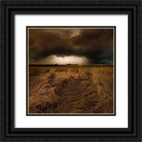 Straw Country Black Ornate Wood Framed Art Print with Double Matting by Schumacher, Nicolas