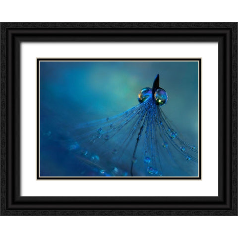 Dancing Into The Blue Night Black Ornate Wood Framed Art Print with Double Matting by Westum, Heidi
