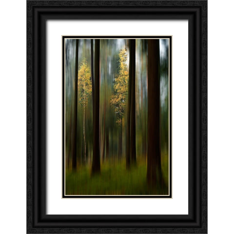 Autumn Leaves Black Ornate Wood Framed Art Print with Double Matting by Emanuelson, Bjorn