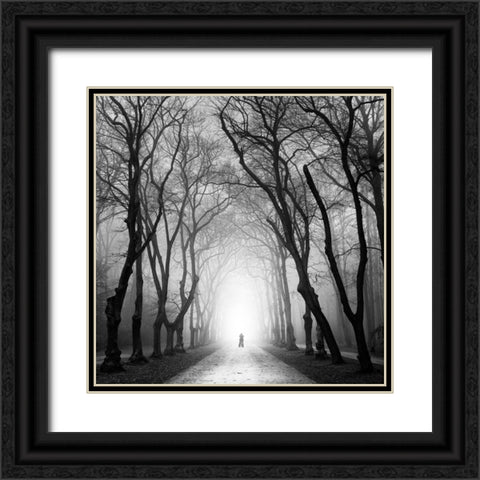 Cyclist Black Ornate Wood Framed Art Print with Double Matting by Rak, Martin