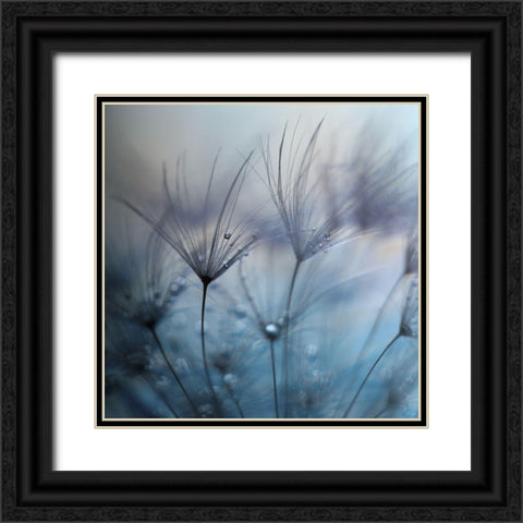 Teardrops Black Ornate Wood Framed Art Print with Double Matting by Irthum, Mathieu