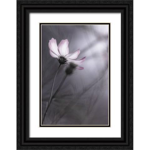 Cosmos Black Ornate Wood Framed Art Print with Double Matting by HIDEBON
