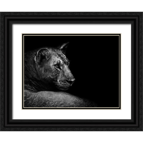 Lion Black Ornate Wood Framed Art Print with Double Matting by Wildphotoart