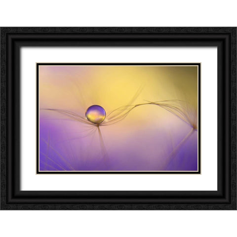 In Arms Black Ornate Wood Framed Art Print with Double Matting by Westum, Heidi