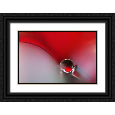 Between Black Ornate Wood Framed Art Print with Double Matting by Westum, Heidi