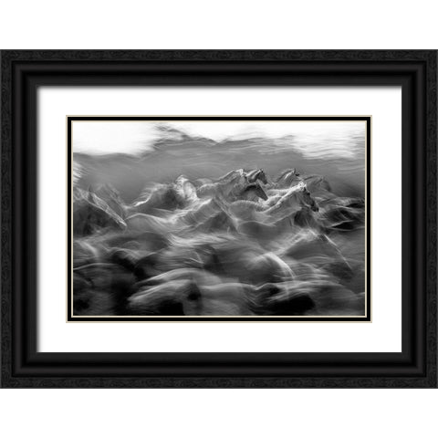 Dir Black Ornate Wood Framed Art Print with Double Matting by Malovrh, Milan