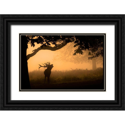 The Love Call Black Ornate Wood Framed Art Print with Double Matting by Jevric Fotorax, Radojica