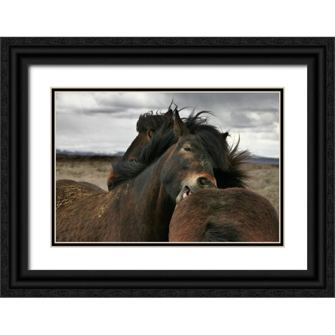 Close Black Ornate Wood Framed Art Print with Double Matting by Ingibergsson, Bragi