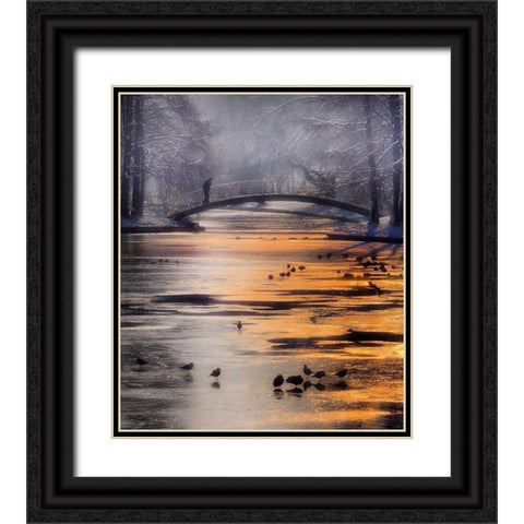 Frozen Lake Black Ornate Wood Framed Art Print with Double Matting by Andreescu, Cristian