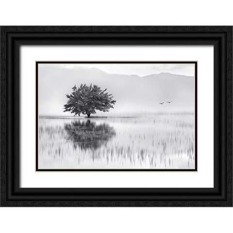 Spring Mirror Black Ornate Wood Framed Art Print with Double Matting by Kaimaki, Maria