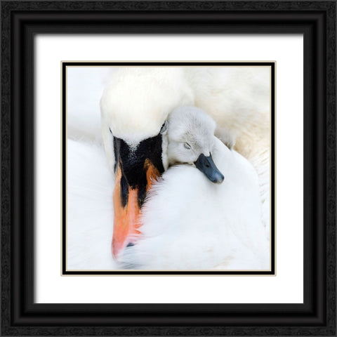 A Mothers Love Black Ornate Wood Framed Art Print with Double Matting by Parker, Jacky