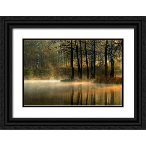 Silent Light. Black Ornate Wood Framed Art Print with Double Matting by Jankowska, Agnieszka