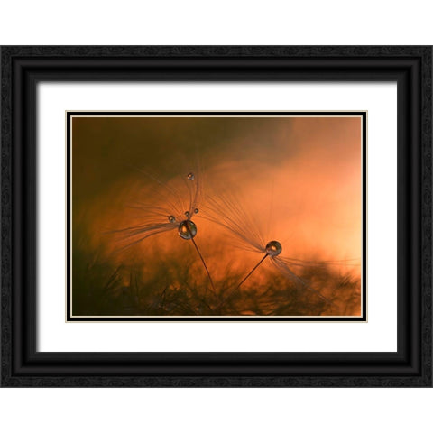 Forest Fire Black Ornate Wood Framed Art Print with Double Matting by Westum, Heidi