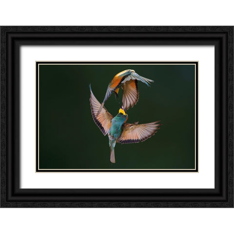 Fight Between Rainbows Black Ornate Wood Framed Art Print with Double Matting by Redaelli, Marco