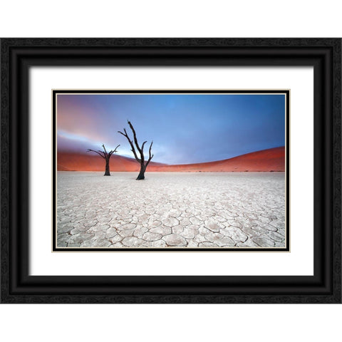 Mist Over Deadvlei Black Ornate Wood Framed Art Print with Double Matting by Mcrae, Ben