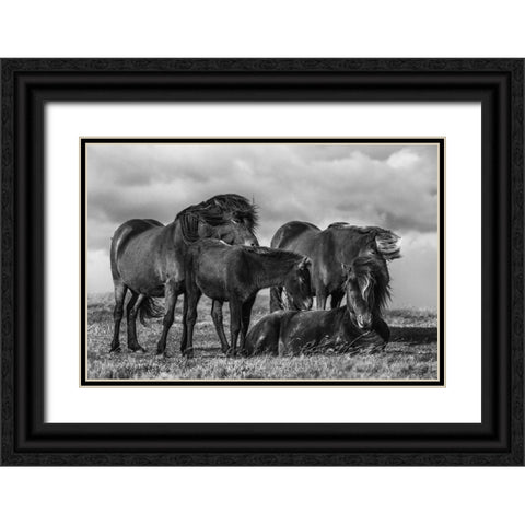 Happy Family Black Ornate Wood Framed Art Print with Double Matting by Ingibergsson, Bragi