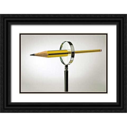 Unlikely ... Black Ornate Wood Framed Art Print with Double Matting by Solo, Mister