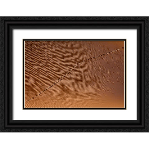 Footprint Black Ornate Wood Framed Art Print with Double Matting by Momeni, Mohammadreza