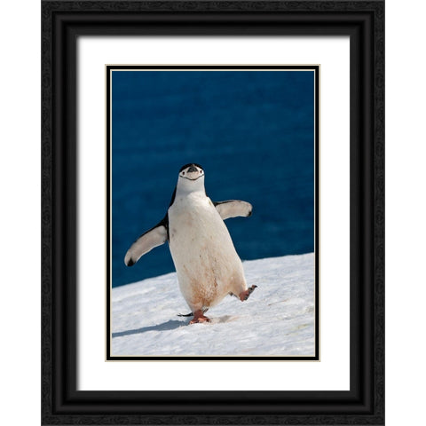 Life Is Good Black Ornate Wood Framed Art Print with Double Matting by Kokinskiy, Sergey