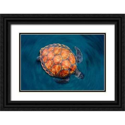 Spin Turtle Black Ornate Wood Framed Art Print with Double Matting by Garcia, Sergi