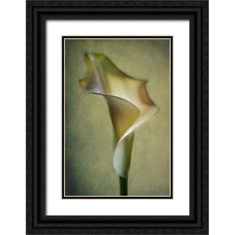 Calla Lily Black Ornate Wood Framed Art Print with Double Matting by Andersen, Lotte
