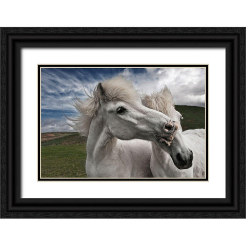 Playtime Black Ornate Wood Framed Art Print with Double Matting by Ingibergsson, Bragi