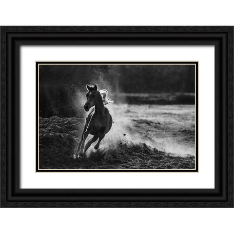 Take Off Black Ornate Wood Framed Art Print with Double Matting by Alnaser, Mohammed