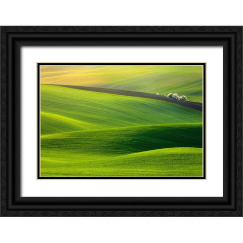 Spring Time... Black Ornate Wood Framed Art Print with Double Matting by Browko, Krzysztof