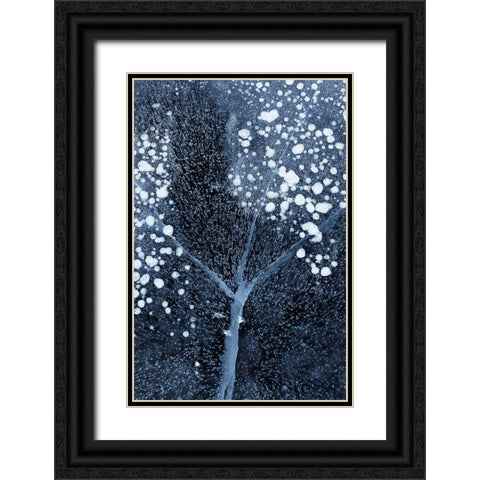 Winter Blossom Black Ornate Wood Framed Art Print with Double Matting by Xu, Mei