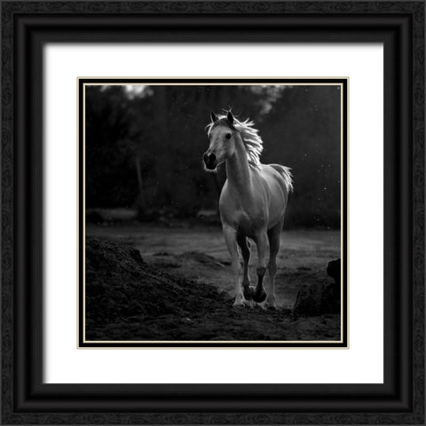 Coquetry Black Ornate Wood Framed Art Print with Double Matting by Al-Saeed, Abdullah