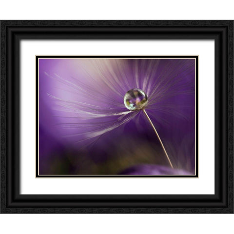 In Shades Of Purple Black Ornate Wood Framed Art Print with Double Matting by Westum, Heidi