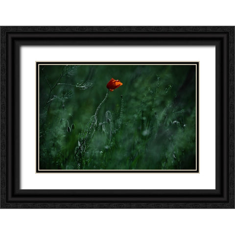 Blow Me Away... Black Ornate Wood Framed Art Print with Double Matting by Neer, Ildiko